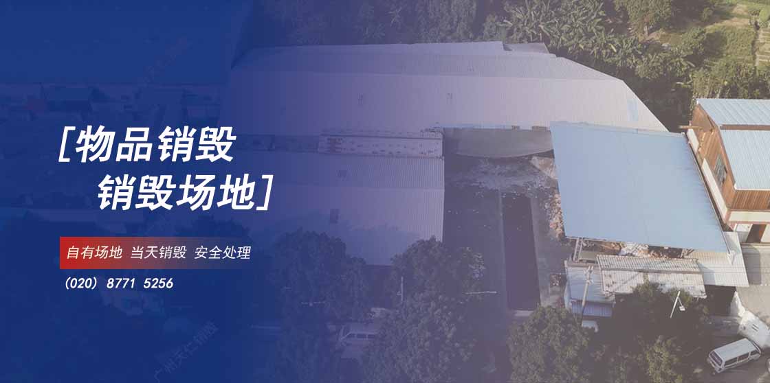 豸